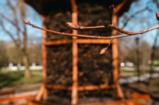 W Siedlcach powstała tężnia solankowa