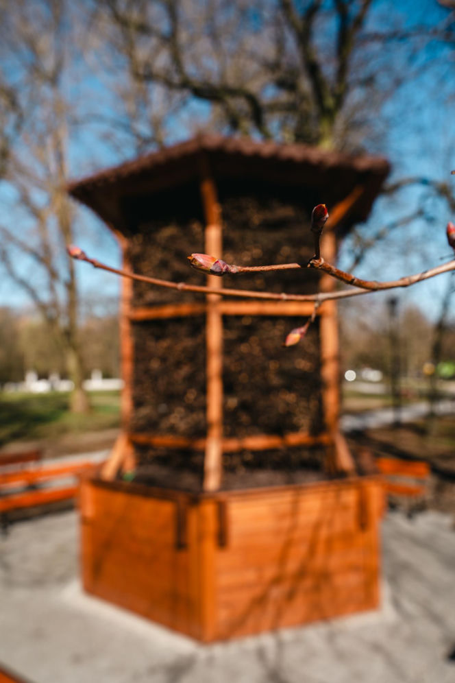 W Siedlcach powstała tężnia solankowa