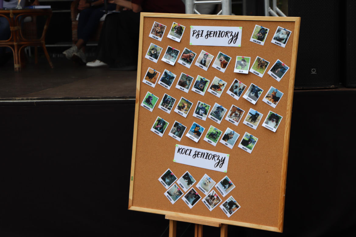 XIII Piknik Przyjaciół Schroniska w Toruniu. Fotorelacja z imprezy
