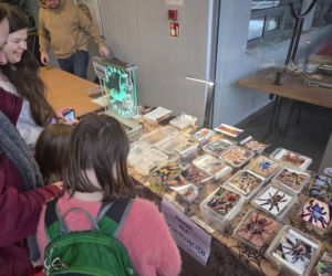 Węże, pająki i dreszczyk emocji w Bydgoszczy! Dragon Expo zachwyciło odwiedzających