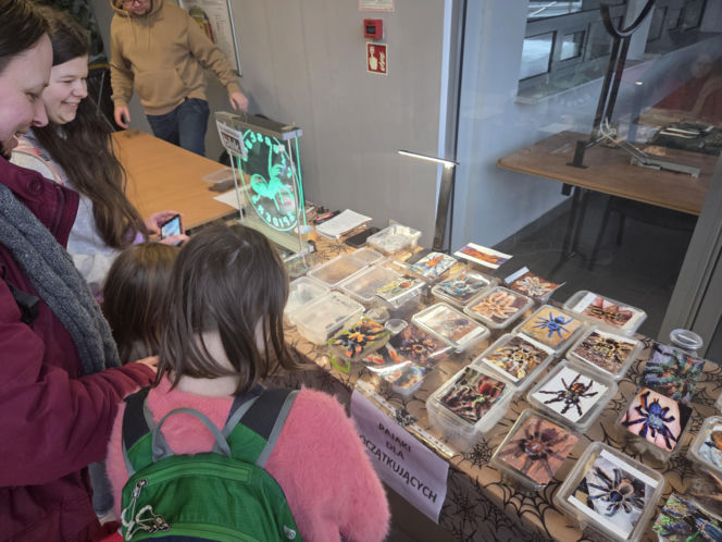 Węże, pająki i dreszczyk emocji w Bydgoszczy! Dragon Expo zachwyciło odwiedzających