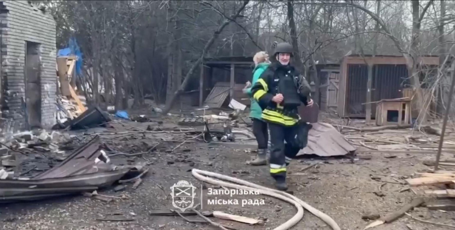 Atak na schronisko dla zwierząt Zaporoże