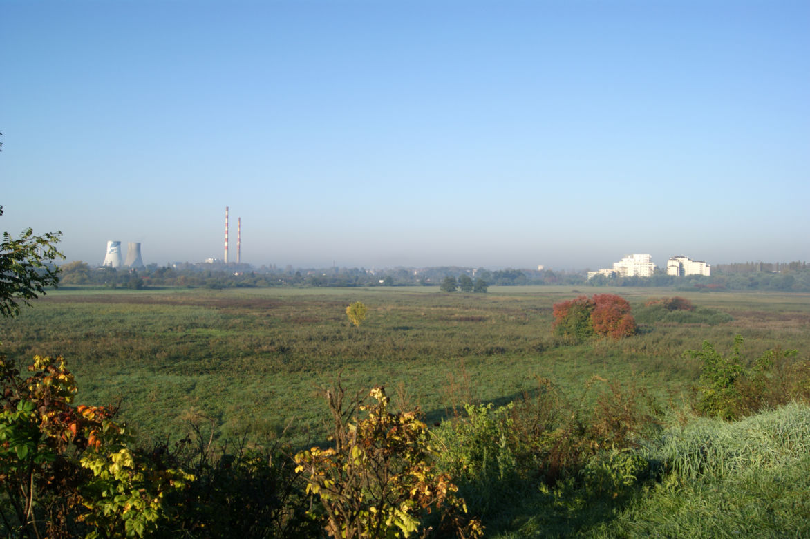 Łąki
