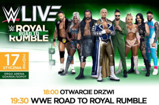 WWE w Gdańsku: Karta walk i wyniki. Kto walczył na gali w Polsce?