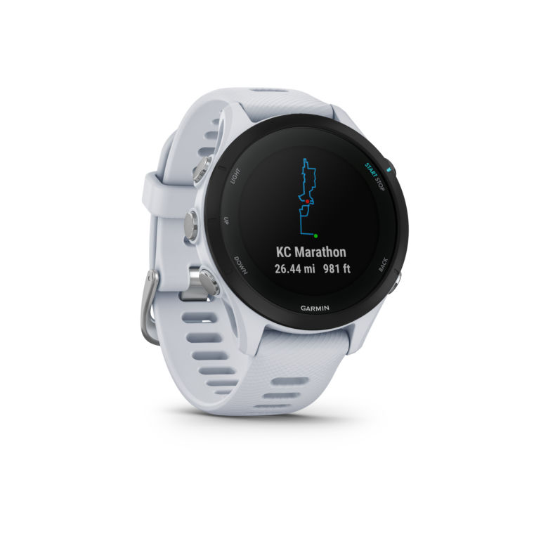 Garmin Forerunner 255