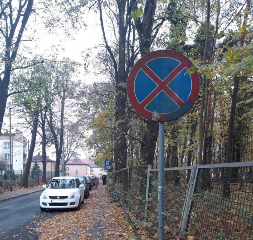 Tak parkują "miszczowie parkowania" z Katowic. Strażnicy miejscy rozkładają ręce 