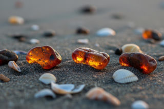 Bursztyn na Mierzei Wiślanej. Jak odkrycie pani Katarzyny zaskoczyło poszukiwaczy?