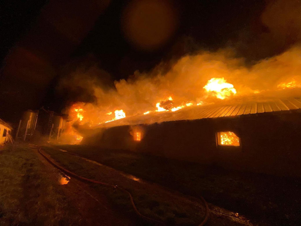 Gigantyczny pożar kurnika. Jęzory ognia strawiły cały budynek. Spłonęło 25 tysięcy młodych pisklaków!