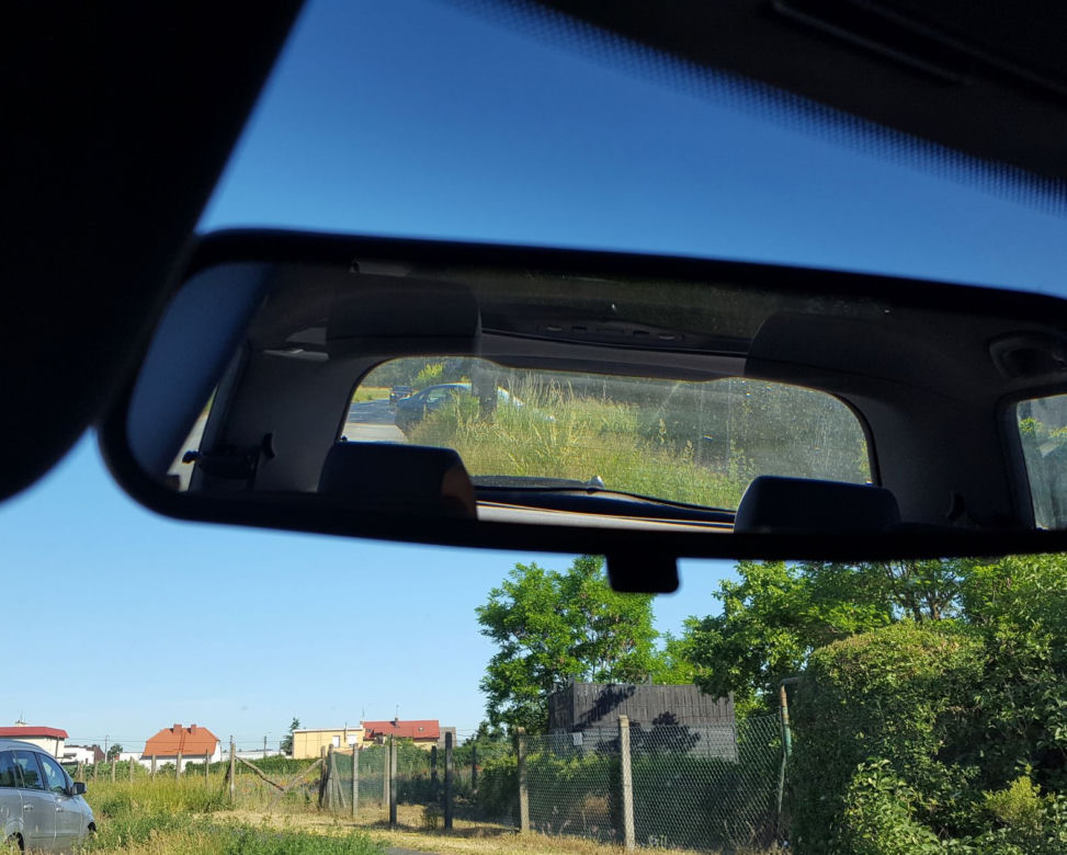 Tak wysokich chwastów przy drogach w Lesznie dawno nie oglądaliśmy