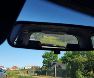 Tak wysokich chwastów przy drogach w Lesznie dawno nie oglądaliśmy