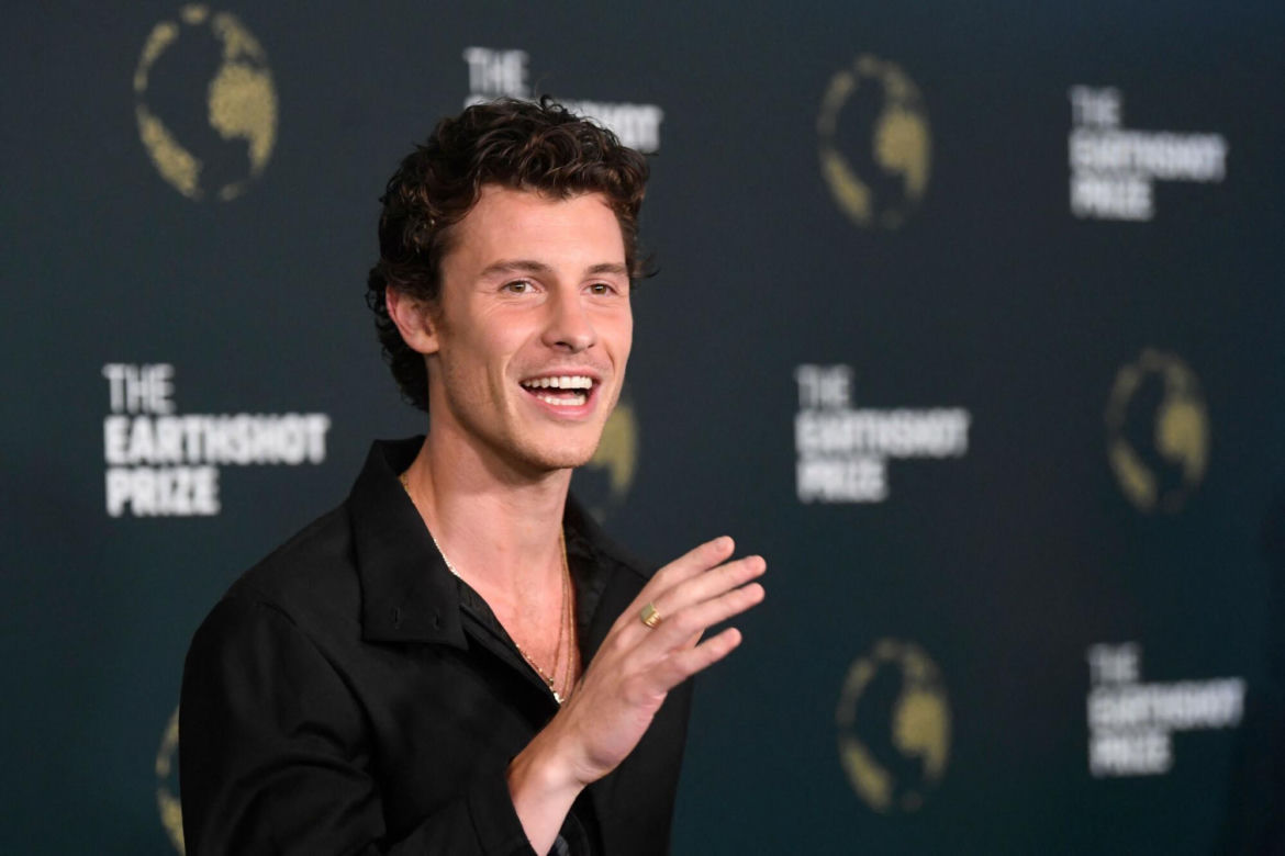 8. Shawn Mendes
