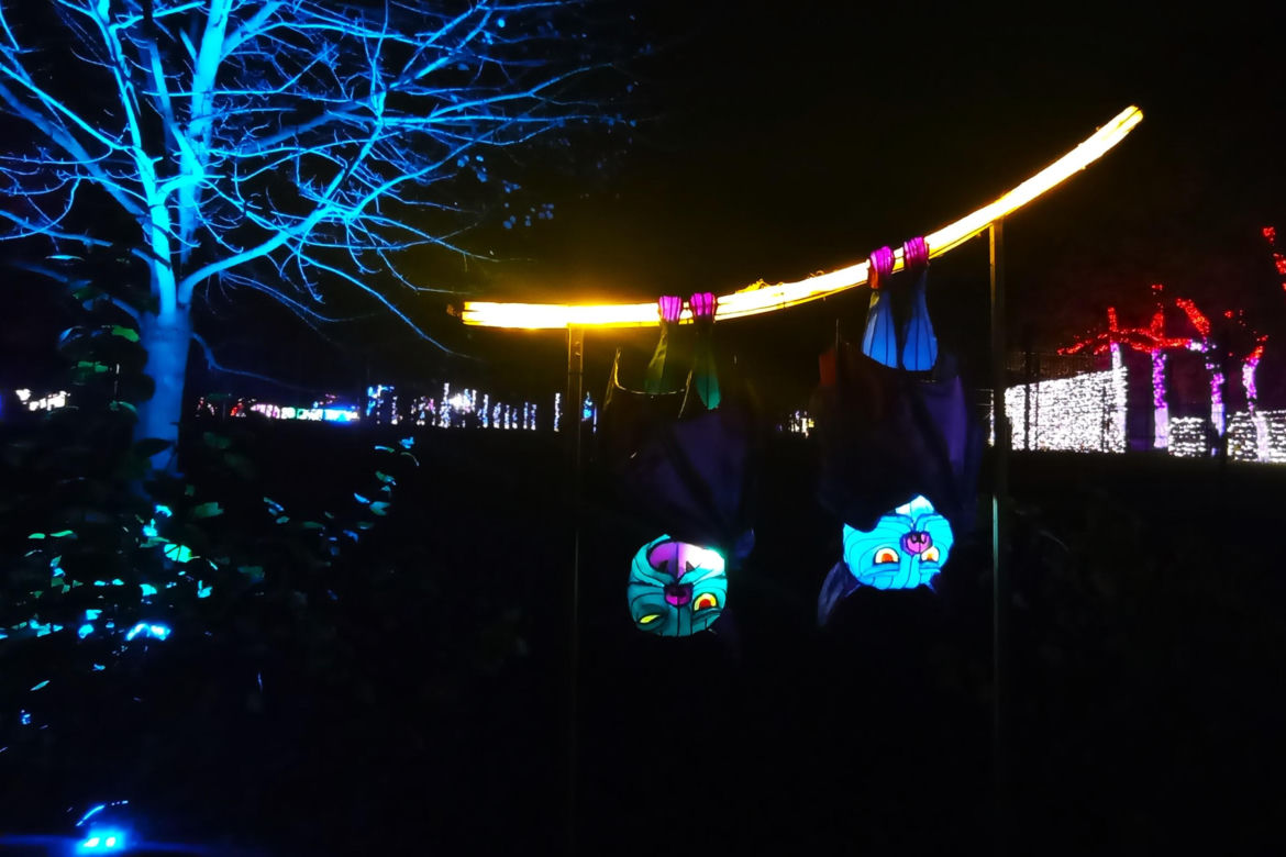 Garden of Lights w Szczecinie