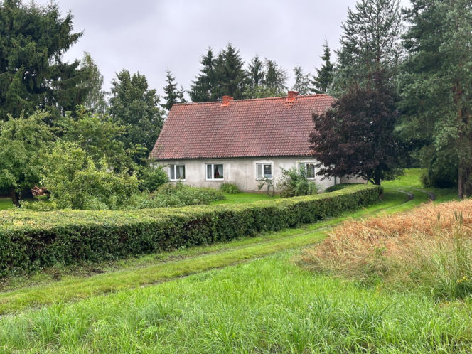 Koszmar w Janikach Wielkich. Syn zamordował rodziców