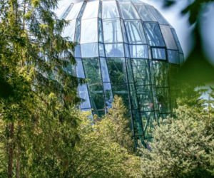 Życie w Architekturze 2025. Palmiarnia w Gdańsku Oliwie. RYSY Architekci 