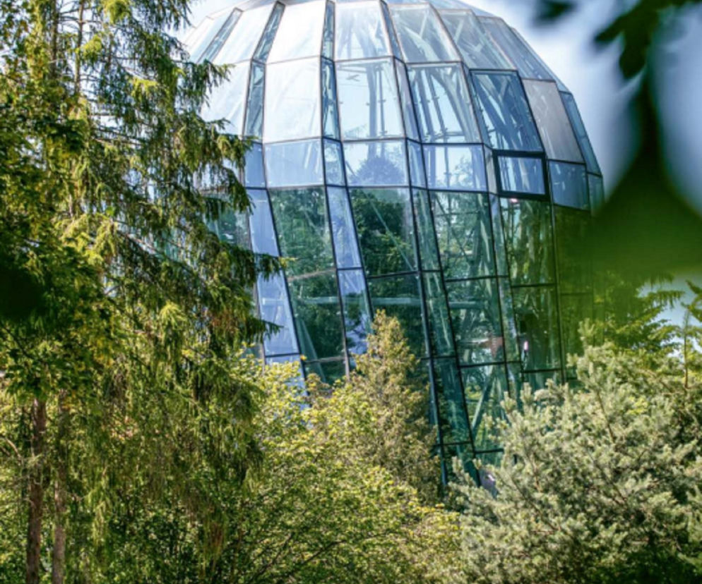 Nowoczesna rotunda palmiarni w Gdańsku Oliwie, projektu RYSY Architekci, z odbijającymi się w szklanej elewacji koronami drzew. Architektura Murator Plus prezentuje zgłoszenie do konkursu Życie w Architekturze 2025, podkreślając harmonię z parkowym otoczeniem.