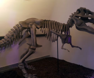 Muzeum Figur Woskowych