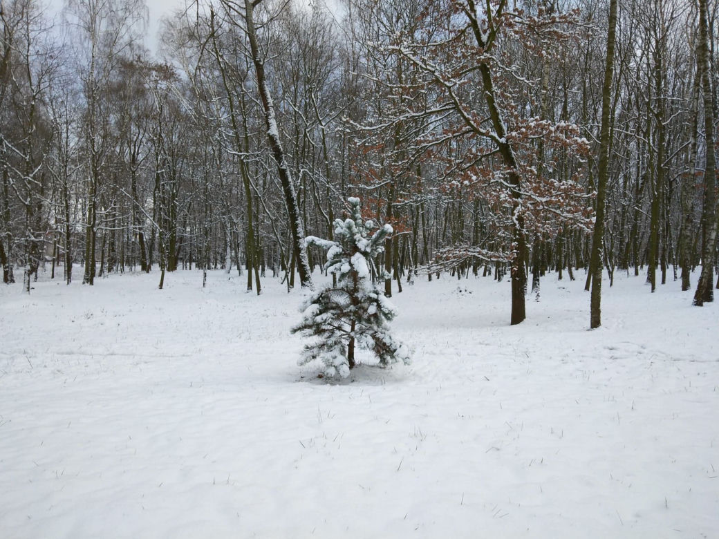 Śnieg zasypał Tarnów, teraz czas na mróz. Będzie PRZEŹLIWIE zimno