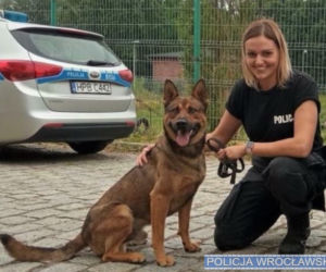 Policyjny pies pomógł uratował 32-latka, który chciał odebrać sobie życie