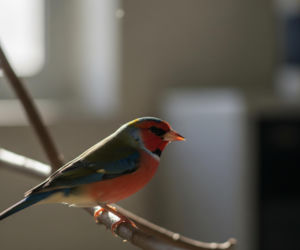 Włodzimierz Czarzasty. Kim jest marszałek Sejmu poza polityką?