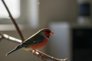 Włodzimierz Czarzasty. Kim jest marszałek Sejmu poza polityką?