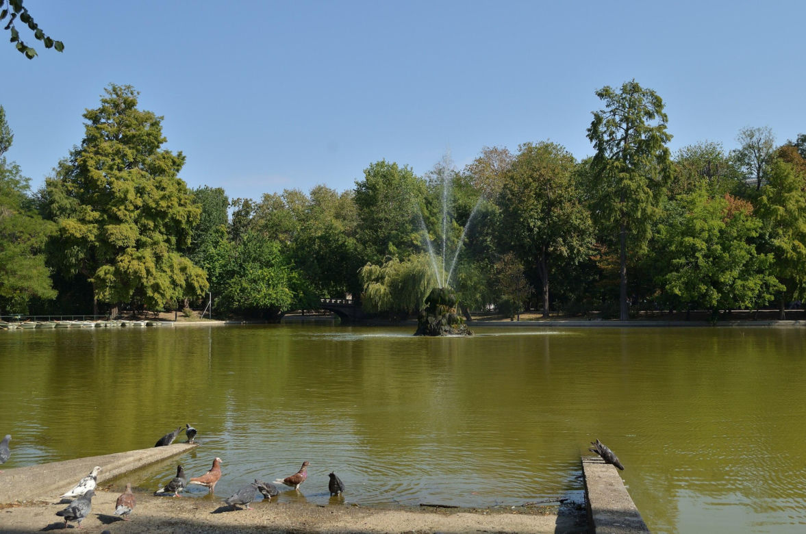 Ogrody Cișmigiu
