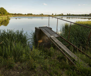 Prokuratura chce wyjaśnić tajemniczą śmierć