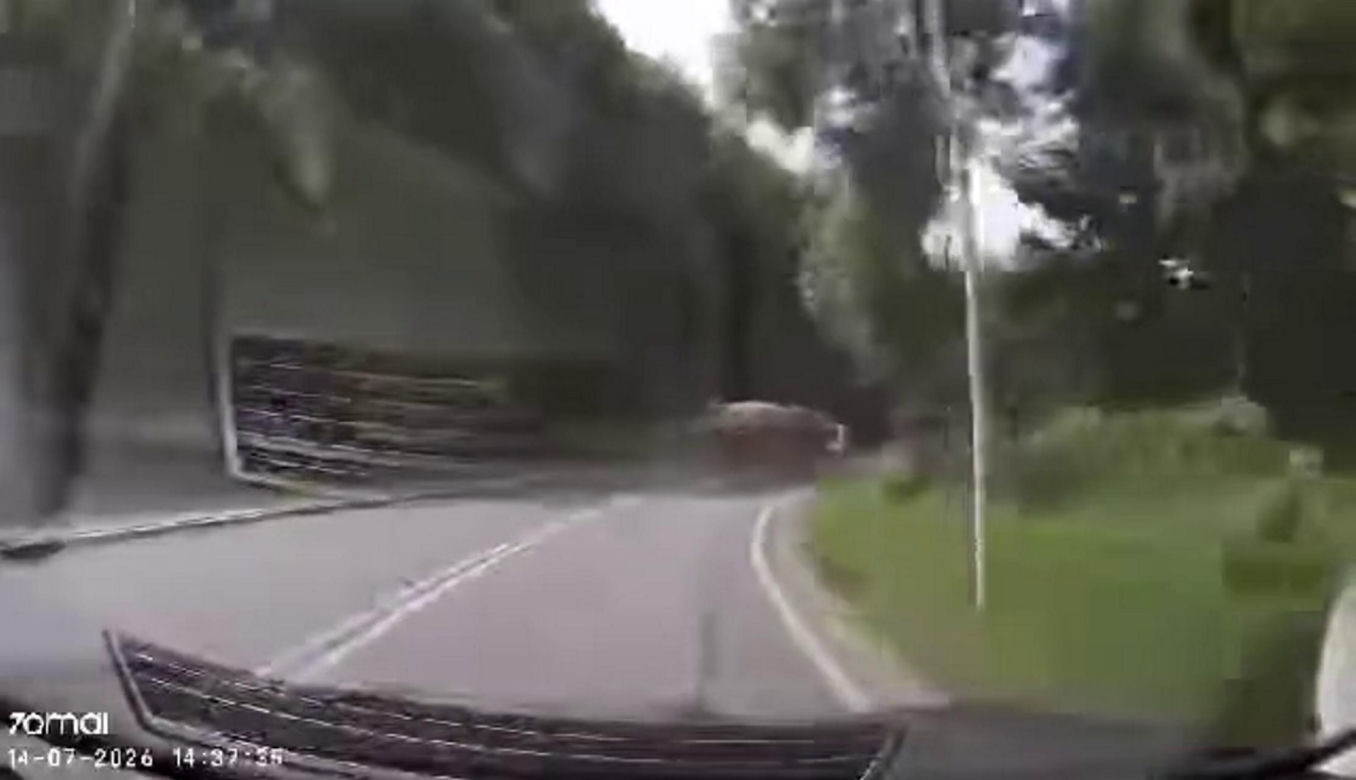 Przerażające wideo z wypadku w Czernichowie trafiło do sieci