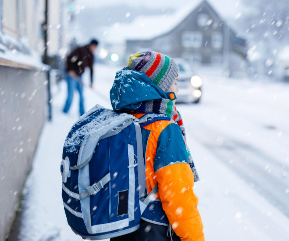 Zamknięte placówki, zdalne lekcje. Powrót do szkoły pod znakiem zapytania