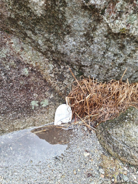 Morskie Oko zaśmiecone jak nigdy. To sprawka turystów. TPN opublikował zdjęcia.