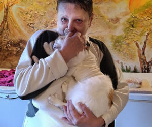 Watahy zdziczałych psów atakują wieś! Rozrywają koty, rzuciły się na dziecko!