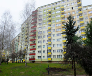 Wyrzucił kolegę z 10 piętra  