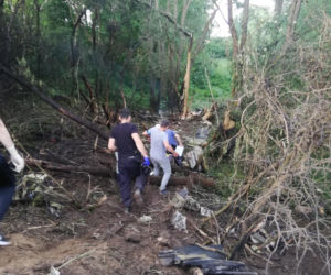 Tragedia po Antidotum. W Czechach rozbił się samolot T-28 Trojan, pilot nie żyje
