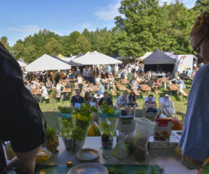 Weekend pełen smaków i tradycji! Gdynia zaprasza na 33. Dary Ziemi