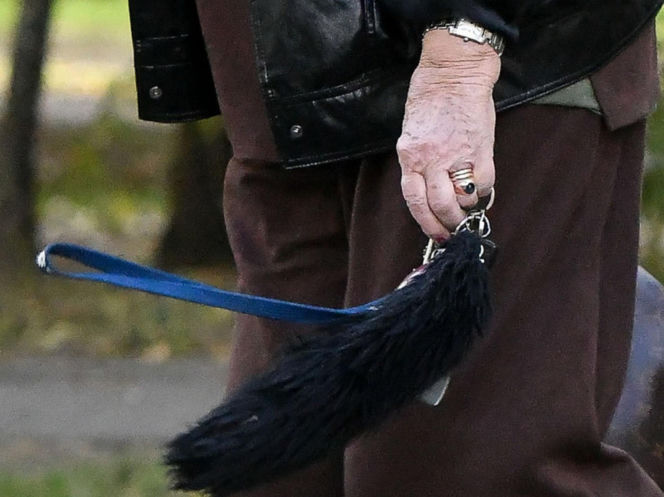 Agnieszka Fitkau-Perepeczko  na bazarku