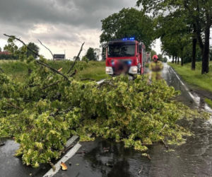 Niszczycielskie burze już w Polsce. Grad i połamane drzewa!