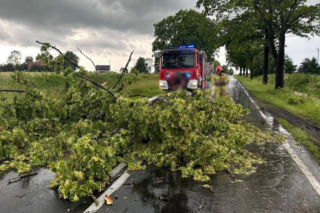 Niszczycielskie burze już w Polsce. Grad i połamane drzewa!