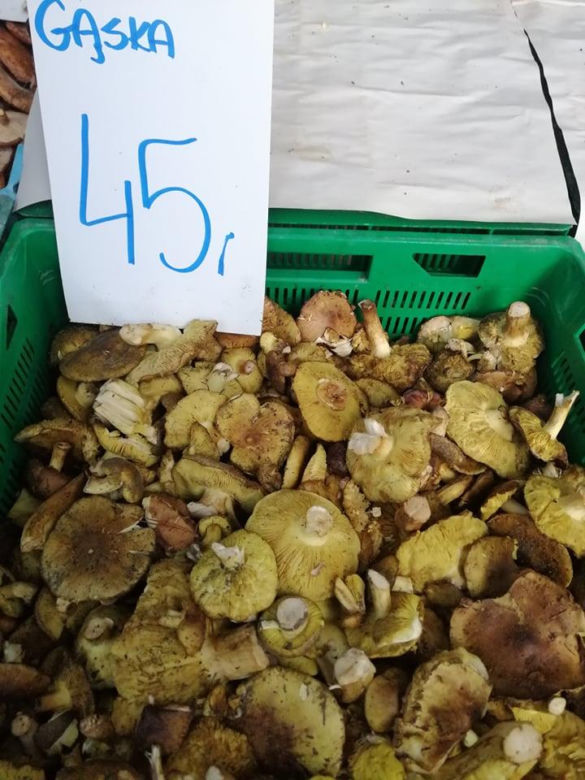 To ostatni moment na grzyby. Jakie są ceny gąsek, rydzów i kozaków w listopadzie w Krakowie?