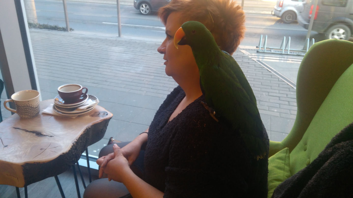 Parrot Coffee