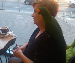 Parrot Coffee