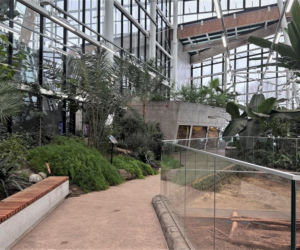 Egzotarium w Sosnowcu