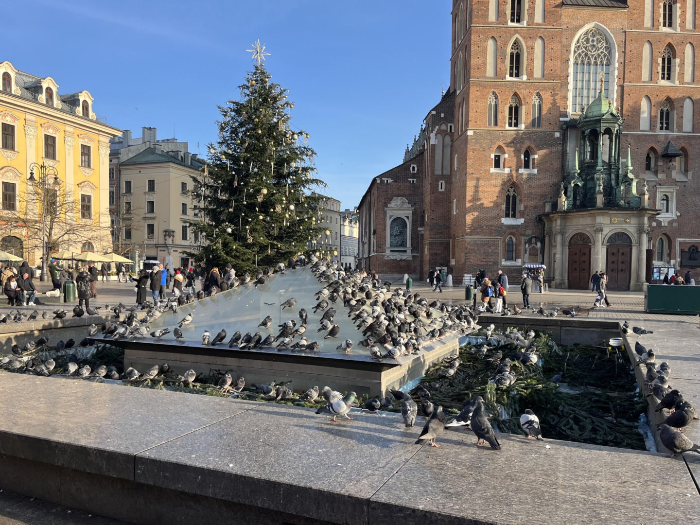 Kryształ - fontanna z Rynku Głównego