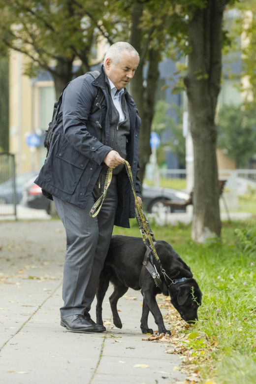Niewidomy minister Wdówik na zakupach 
