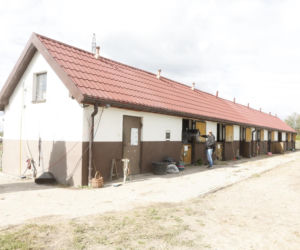 Stadnina koni
