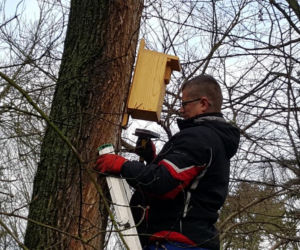  Budki lęgowe zawisły w bydgoskim Ogrodzie Botanicznym UKW w Bydgoszczy