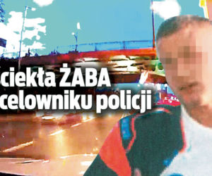 Wściekła Żaba na celowniku policji