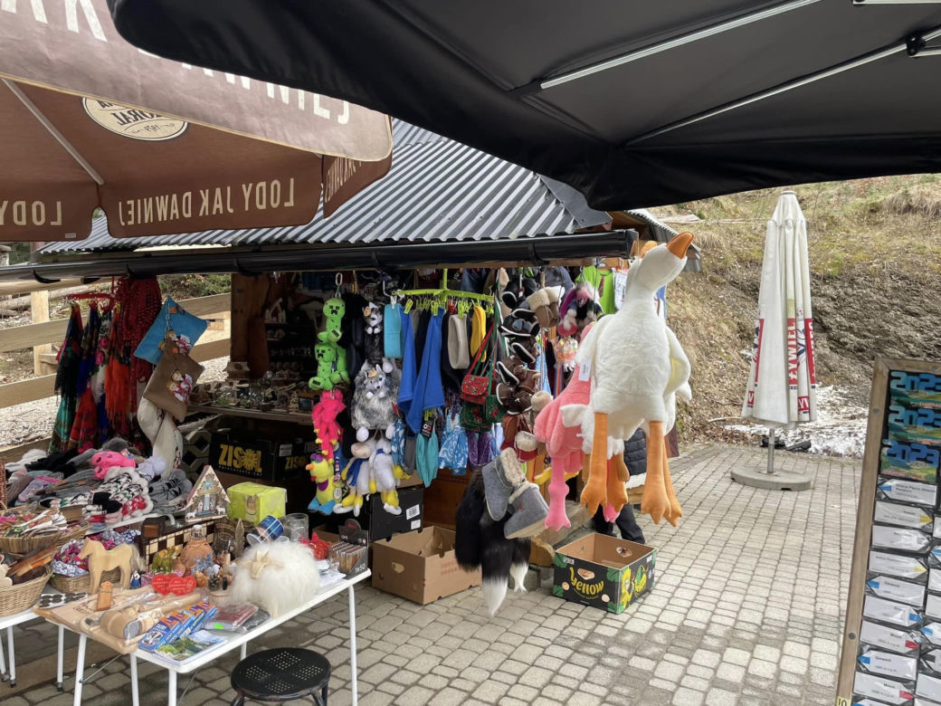 Nowy HIT na Krupówkach. Zakopane opanowała pewna... gęś