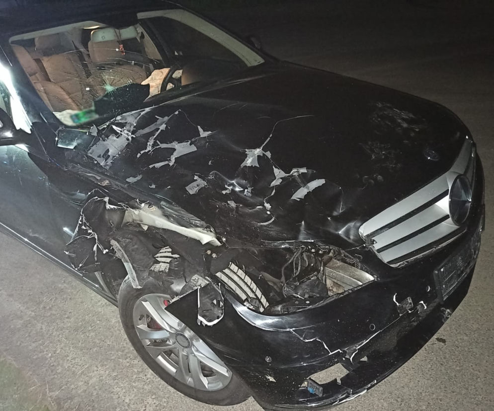 Podegrodzie. Mercedes zderzył się z pięknym jeleniem. Samochód rozbity, zwierzę nie żyje
