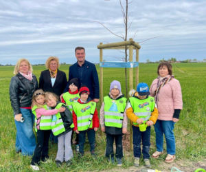 Zazieleni się Trojanowskiego w Lesznie. Przy ulicy posadzono drzewa