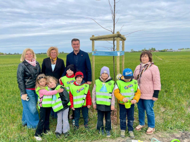 Zazieleni się Trojanowskiego w Lesznie. Przy ulicy posadzono drzewa