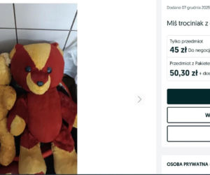 W PRL-u każde dziecko marzyło, aby znaleźć to pod choinką. Dziś za tę zabawkę można dostać krocie